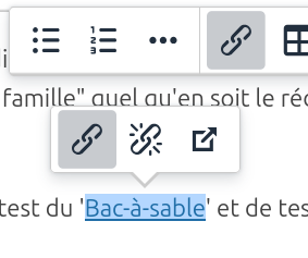 bookstack-editor-link.png